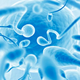 Imagen: Shutterstock